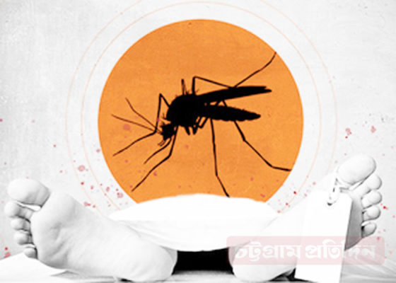 Dengue woman dies