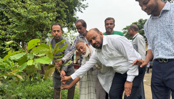 পুরস্কার বিতরণ থেকে বৃক্ষরোপণে উৎসবমুখর পাঠানদণ্ডী উজির আলী প্রাথমিক বিদ্যালয় 1